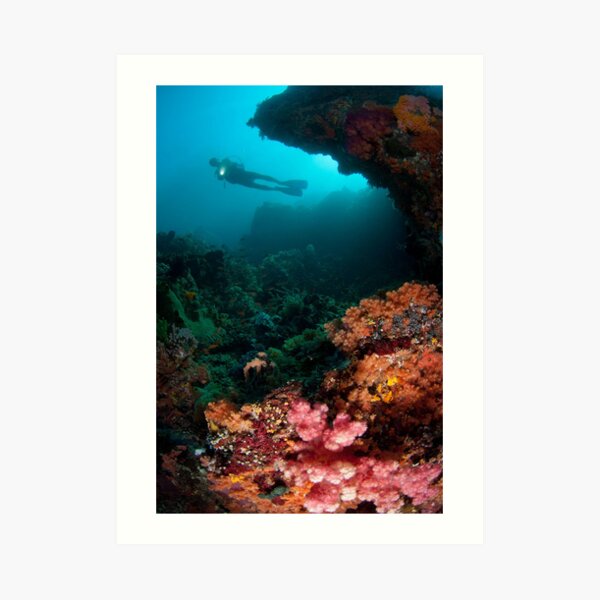 Diver in coral garden Art Print