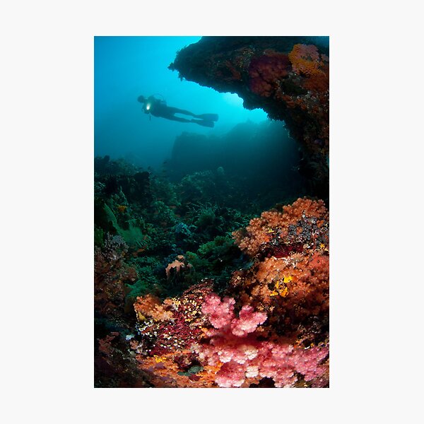 Diver in coral garden Photographic Print