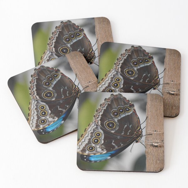 Item preview, Takin a stroll  designed and sold by 1lookingglass.