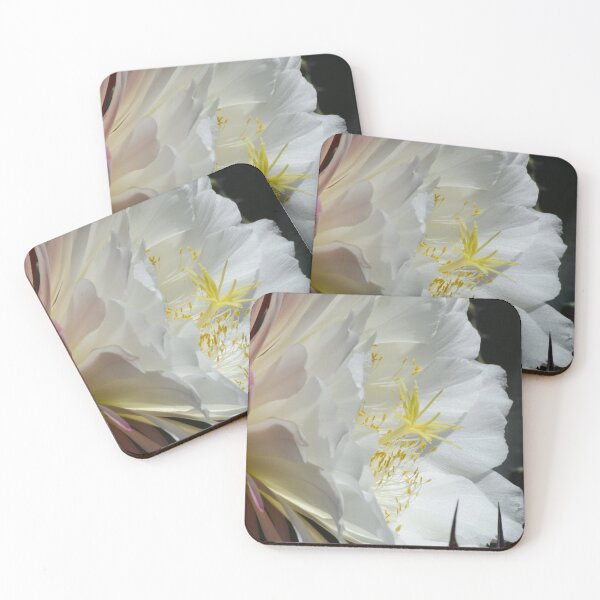 Item preview, Blooming Cactus  designed and sold by 1lookingglass.