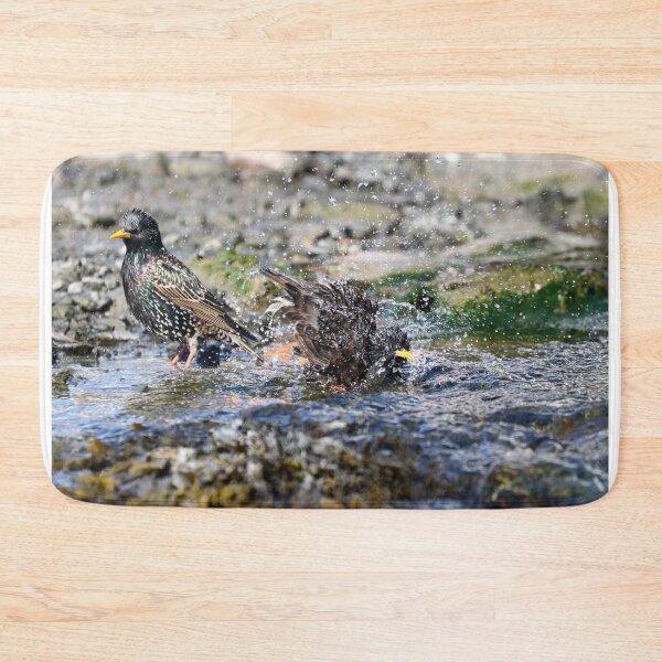 Item preview, Rinse & spin designed and sold by GreyFeatherPhot.