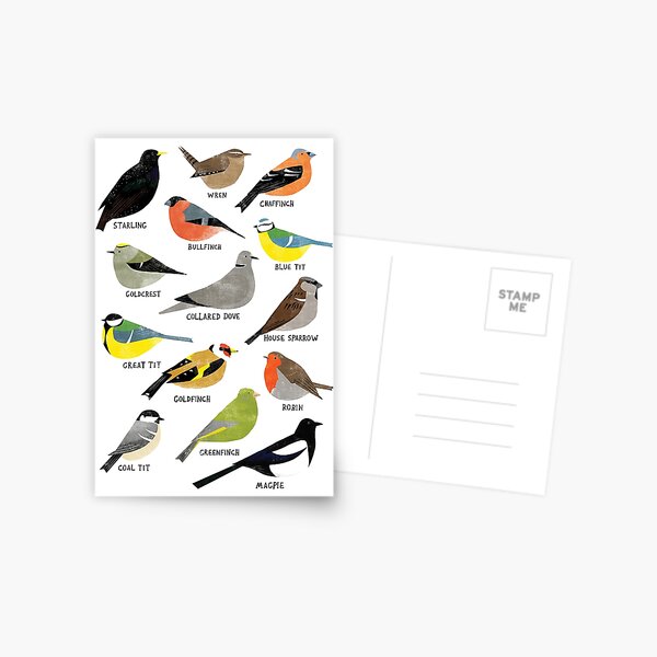 British Bird ID Chart Postcard