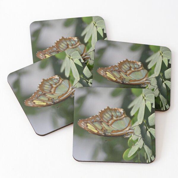 Item preview, Here's looking at you designed and sold by 1lookingglass.