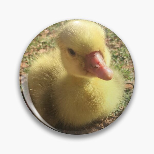 Item preview, Gosling in the Grass designed and sold by LochNestFarm.