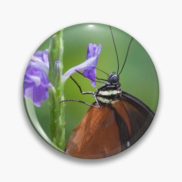 Item preview, Butterfly  designed and sold by Jacquelie.