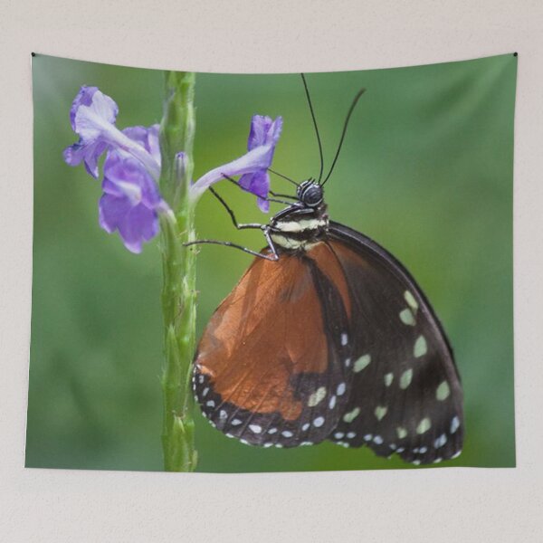 Item preview, Butterfly  designed and sold by Jacquelie.