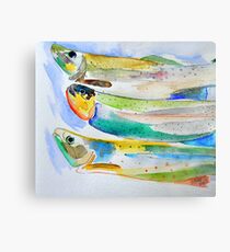 Pesce Fresco Metal Print