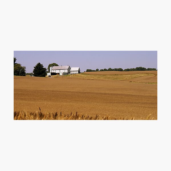 Item preview, Farmland designed and sold by Valeria Lee.