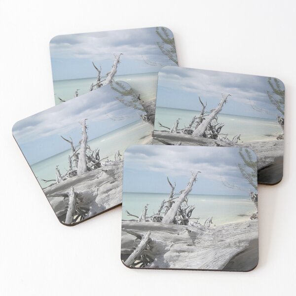Item preview, Driftwood in Freeport Bahamas designed and sold by Elisabeth Lucas.
