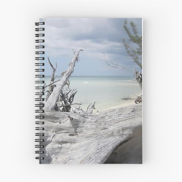 Item preview, Driftwood in Freeport Bahamas designed and sold by Elisabeth Lucas.