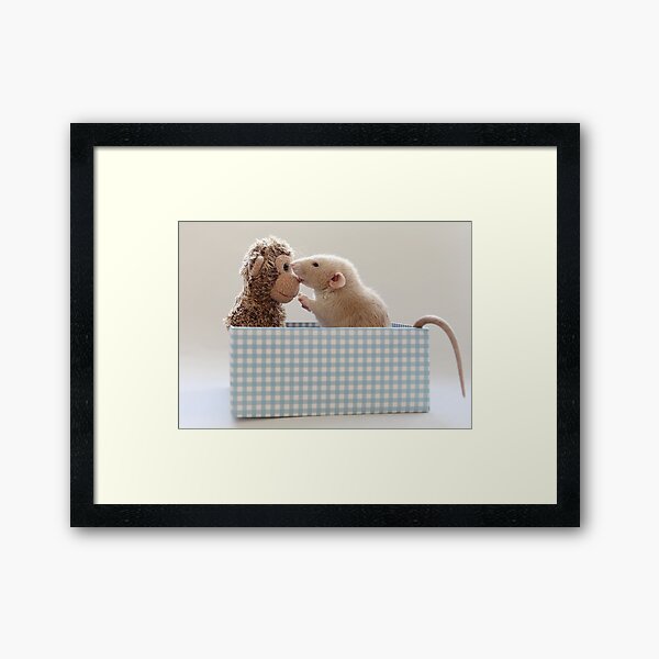 Poppy and friend Framed Art Print