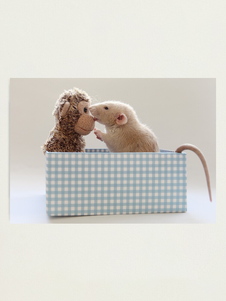 Alternate view of Poppy and friend Photographic Print