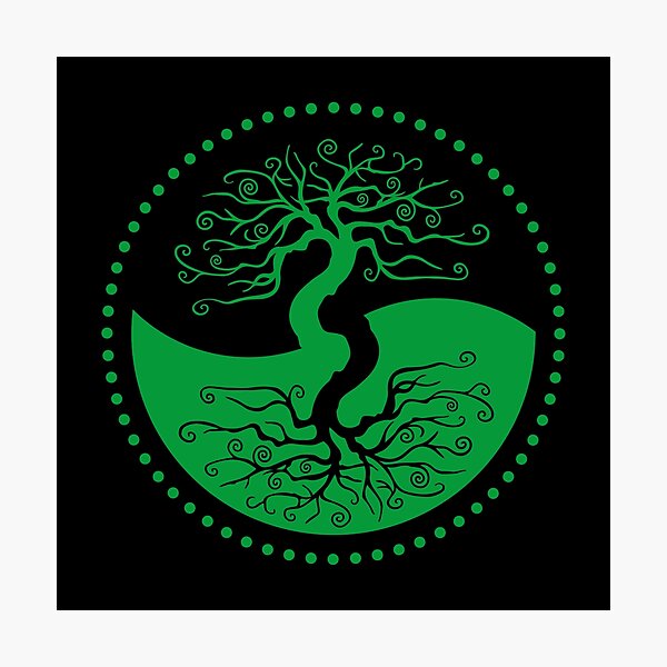 The Principle of Correspondence - Shee Symbol Photographic Print
