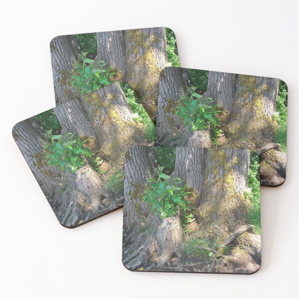 Item preview, Rebirth designed and sold by Tamara McDonnell.