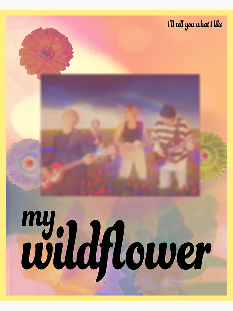 "5 Seconds of Summer "Wildflower" song graphic" Sticker for Sale by