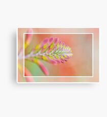 Summer Garden Flame Metal Print