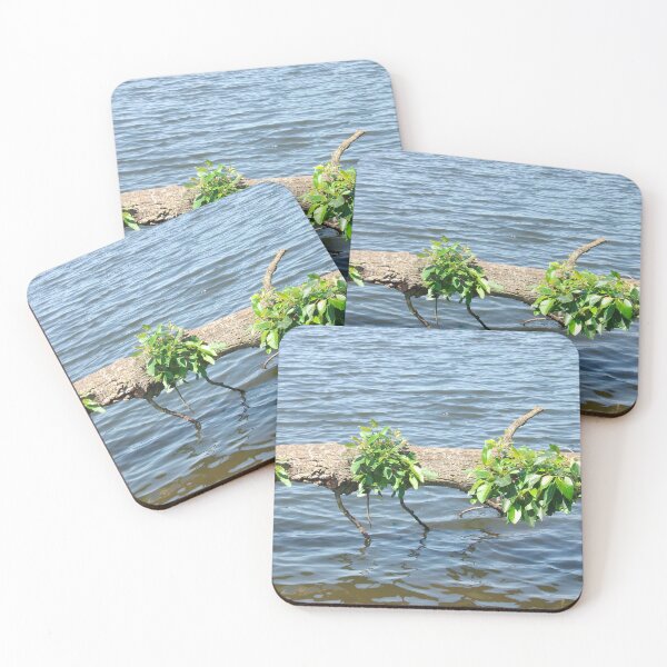 Item preview, Narure's Decor 2 designed and sold by Tamara McDonnell.