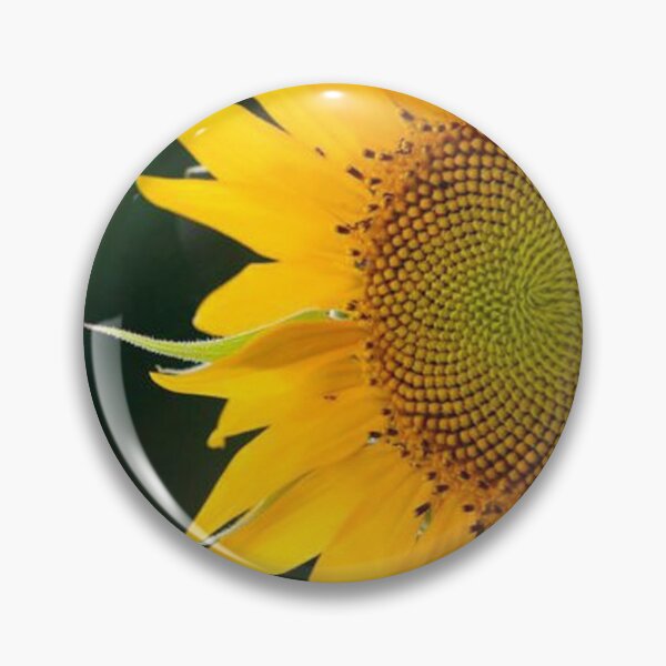 Item preview, Sunshine designed and sold by Jacquelie.