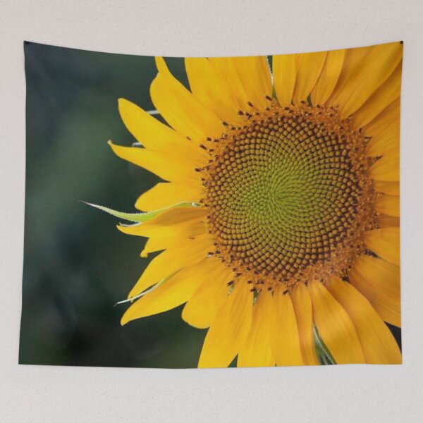 Item preview, Sunshine designed and sold by Jacquelie.