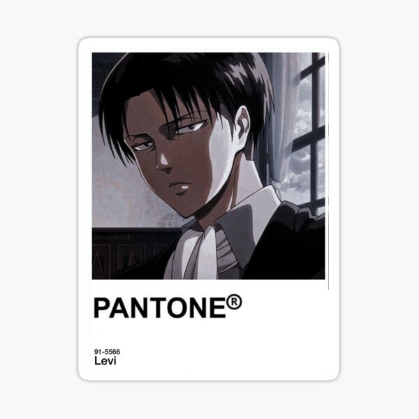 Levi Pantone Sticker Sticker