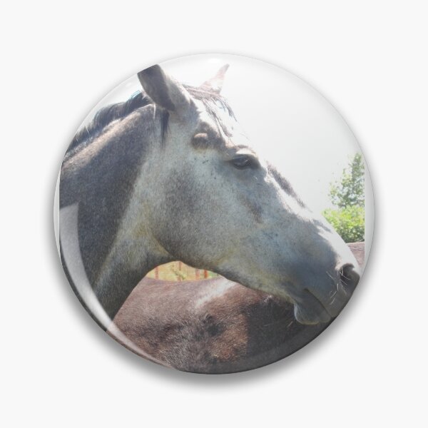 Item preview, Bandit at Large designed and sold by Tamara McDonnell.