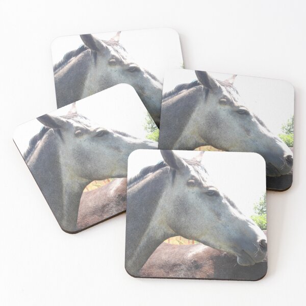 Item preview, Bandit at Large designed and sold by Tamara McDonnell.