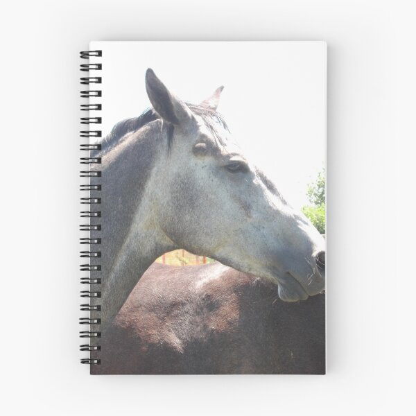 Item preview, Bandit at Large designed and sold by Tamara McDonnell.