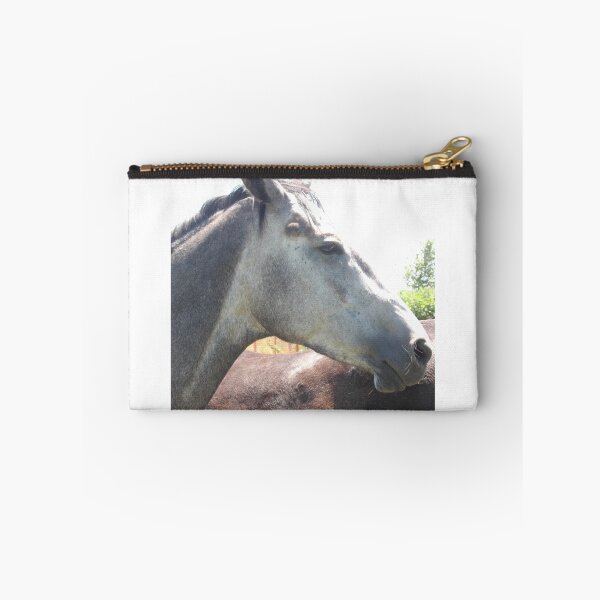 Item preview, Bandit at Large designed and sold by Tamara McDonnell.