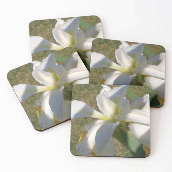 Item preview, Honestly designed and sold by Tamara McDonnell.