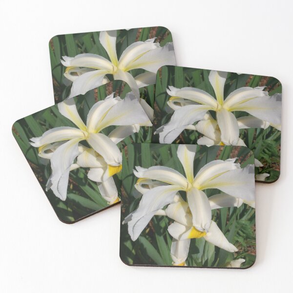 Item preview, Honesty designed and sold by Tamara McDonnell.