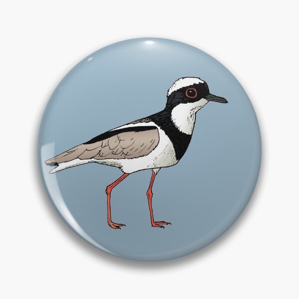 Item preview, Pied Lapwing designed and sold by Callado.