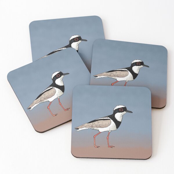 Item preview, Pied Lapwing designed and sold by Callado.
