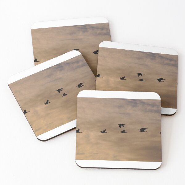 Item preview, Cormorants flying across the dawn sky designed and sold by Jason Gilbert.