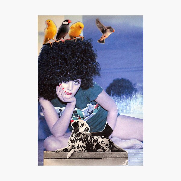 The girl with a bird's nest in her hair Photographic Print