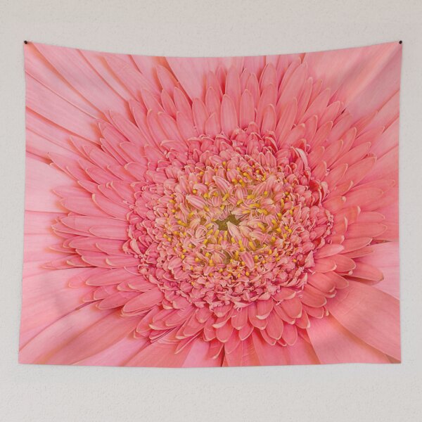 Item preview, Pink Daisy Close Up designed and sold by Elisabeth Lucas.