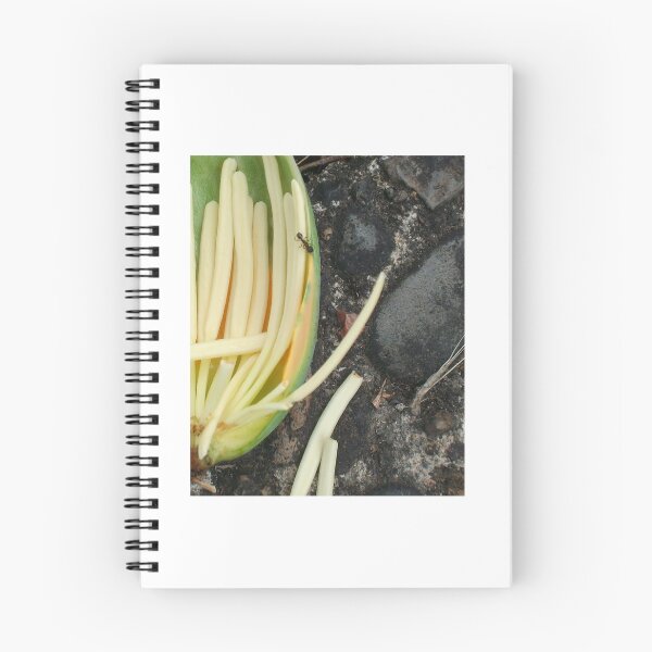 Item preview, Incomplete designed and sold by Tamara McDonnell.
