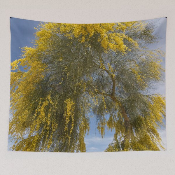 Item preview, Beautiful Acacia designed and sold by Elisabeth Lucas.
