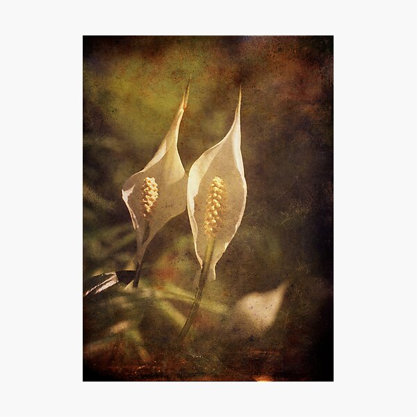 Item preview, Twins designed and sold by Angela Bruno.