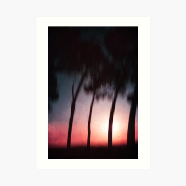 trees at sunset Art Print