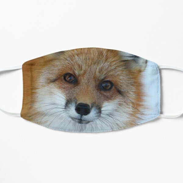 Things are looking up Mask