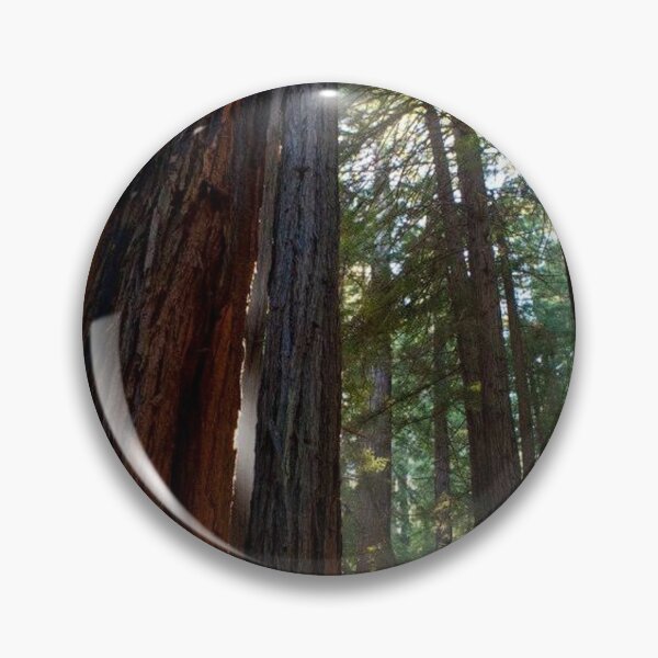 Item preview, Redwoods designed and sold by Jacquelie.
