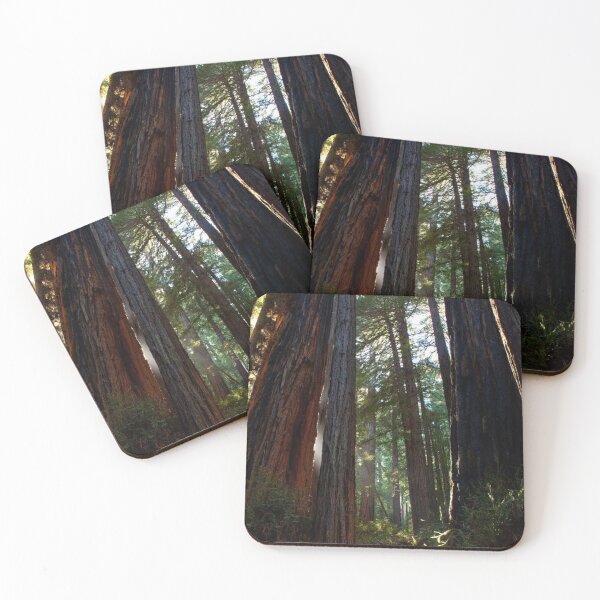 Artikelvorschau, Redwoods entworfen und verkauft von Jacquelie.