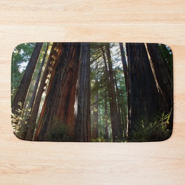 Item preview, Redwoods designed and sold by Jacquelie.