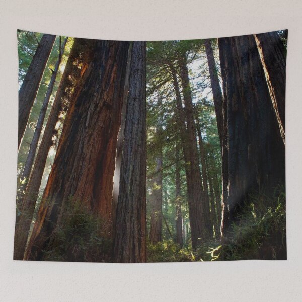 Item preview, Redwoods designed and sold by Jacquelie.