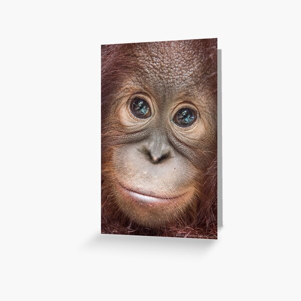 Michele Greeting Card