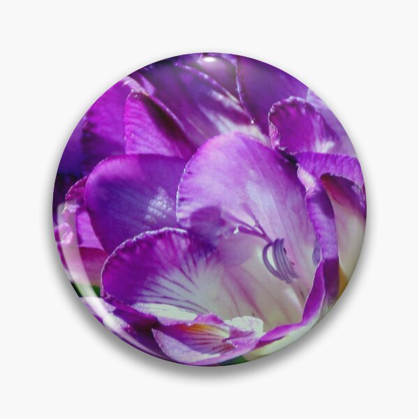 Item preview, Royal Purple - The Prince Of Freesias designed and sold by Michael May.