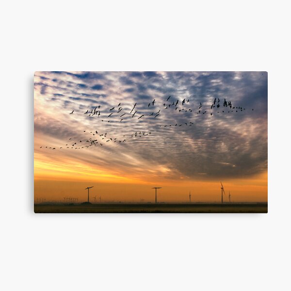 Item preview, Nature designed and sold by THHoang.