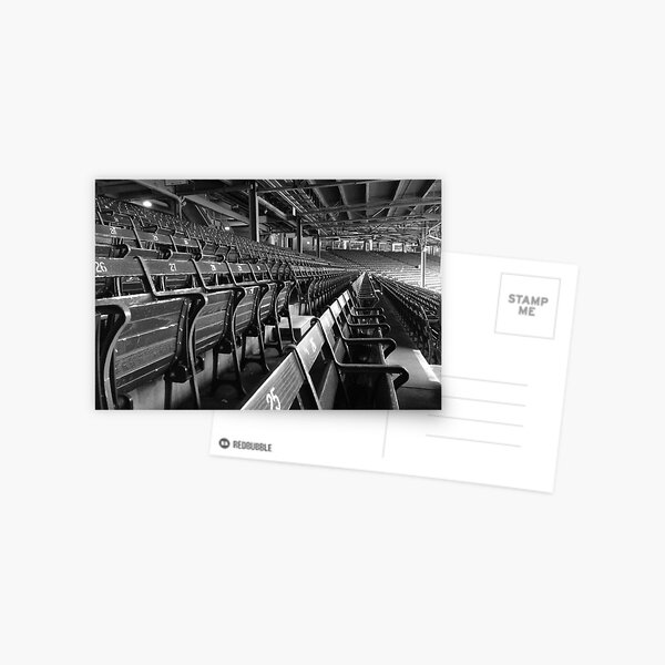 Item preview, Fenway Seats - BW designed and sold by David Thompson.