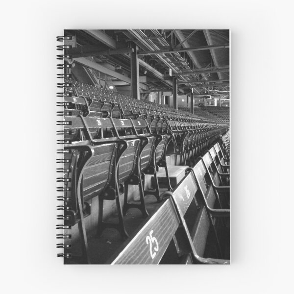 Item preview, Fenway Seats - BW designed and sold by David Thompson.