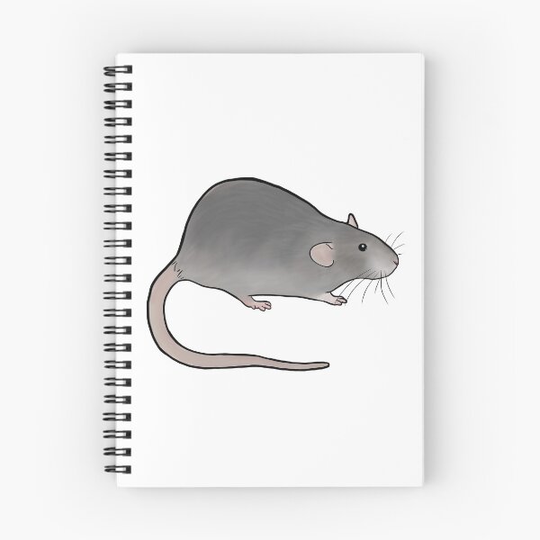 Item preview, Grey Dumbo Rat designed and sold by Lilystreet.